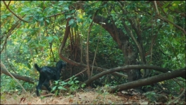 Jagriti Ek Nayi Subah - 26th November 2024